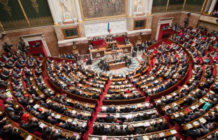 In Lyon wurde ein EELV-Abgeordneter wiedergewählt, die NFP lag in vier Wahlkreisen an der Spitze