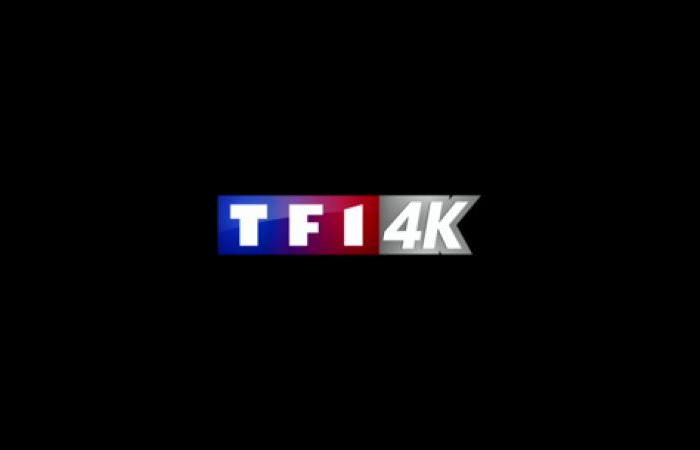 TF1 kündigt eine Rekordzahl neuer 4K-Inhalte an, die auf Freebox Mini 4K, Pop, One, Delta und Ultra verfügbar sein werden