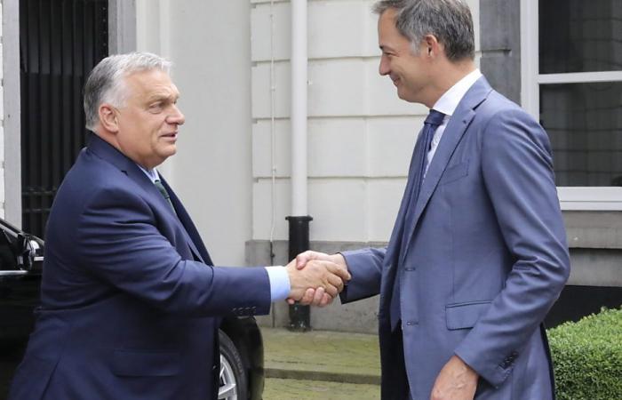 Orbans euroskeptische Ungarn übernimmt EU-Präsidentschaft