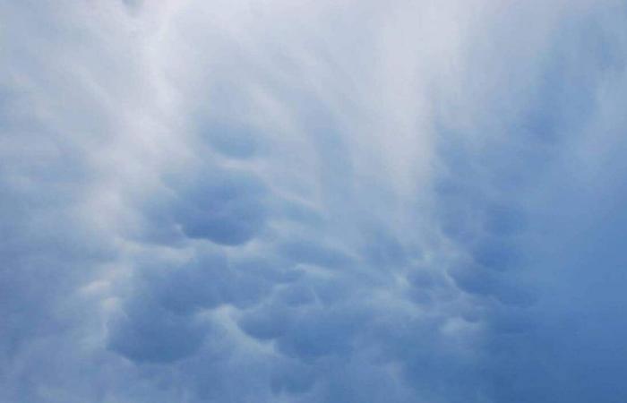 Wie wird das Wetter in Castres und Umgebung am Montag, den 1. Juli 2024 sein?