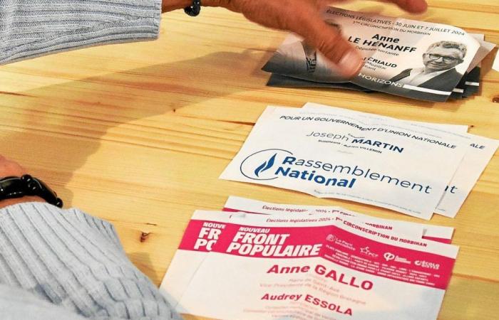 Dreieck im Wahlkreis Vannes: Reaktionen qualifizierter Kandidaten im zweiten Wahlgang [Vidéos]