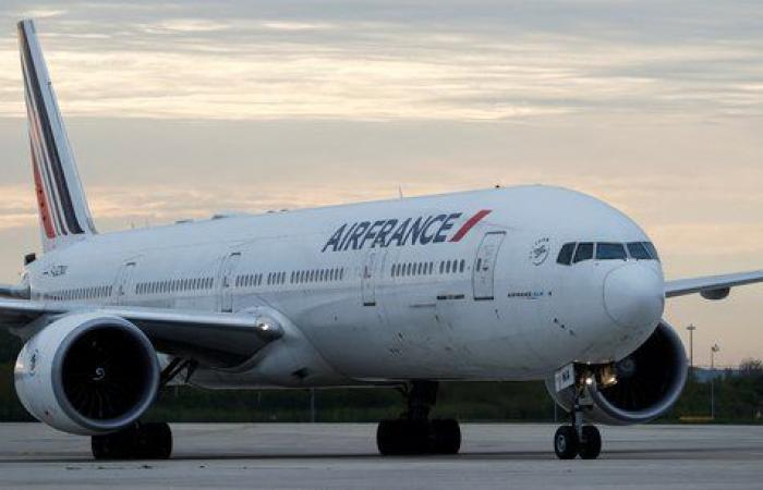 Air France-KLM rechnet in diesem Sommer mit einem Umsatzrückgang aufgrund der „Umgehung“ von Paris
