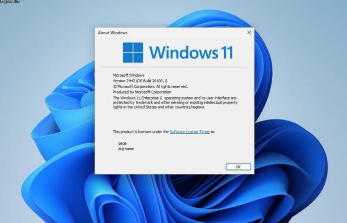 Installieren Sie nicht diese Light-Version von Windows 11, die im Internet herumliegt, sie ist voller Mängel