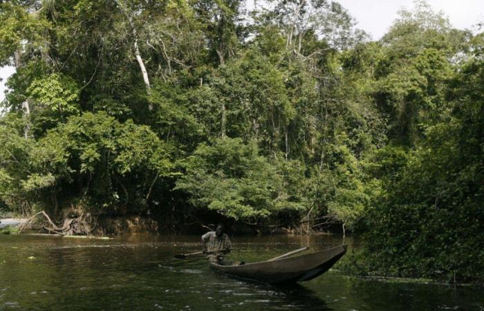 In der Elfenbeinküste weckt ein Industrieunfall die Befürchtung einer großflächigen Flusszyanidverschmutzung