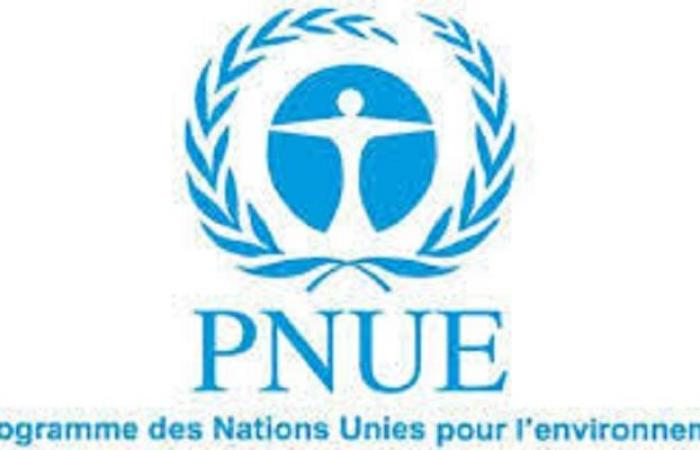 Das Umweltprogramm der Vereinten Nationen (UNEP) rekrutiert für diese Position (01. Juli 2024)