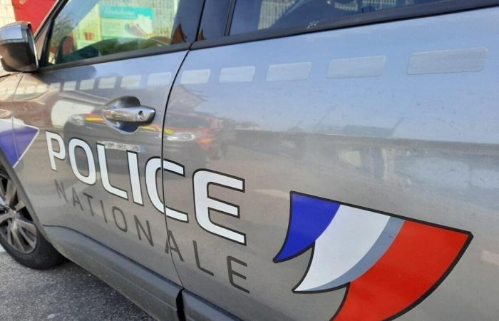 Seine-Saint-Denis: Ein Polizist, der Gegenstand einer gerichtlichen Untersuchung ist, die von der Staatsanwaltschaft wegen Mordes eingeleitet wurde