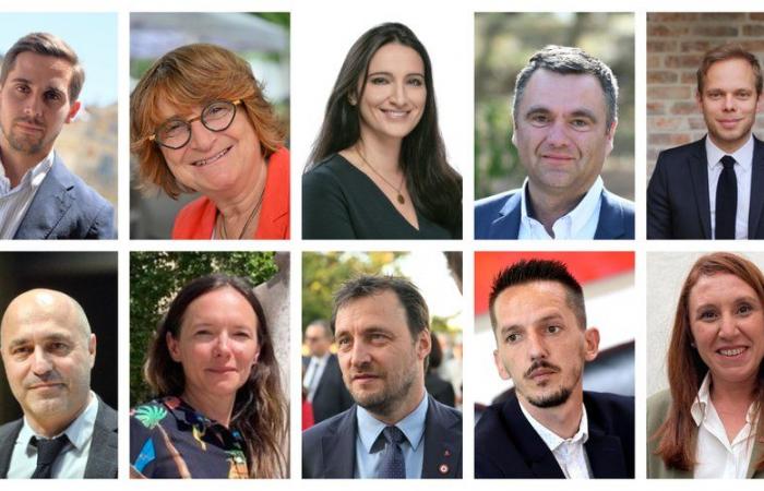 Alter, Profil, Karriere: Wer sind Ihre Kandidaten für die Parlamentswahlen in Montpellier und den umliegenden Bezirken?