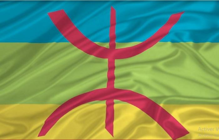 Die Tamazight-Sprache hat einen Eintrag bei Google Translate