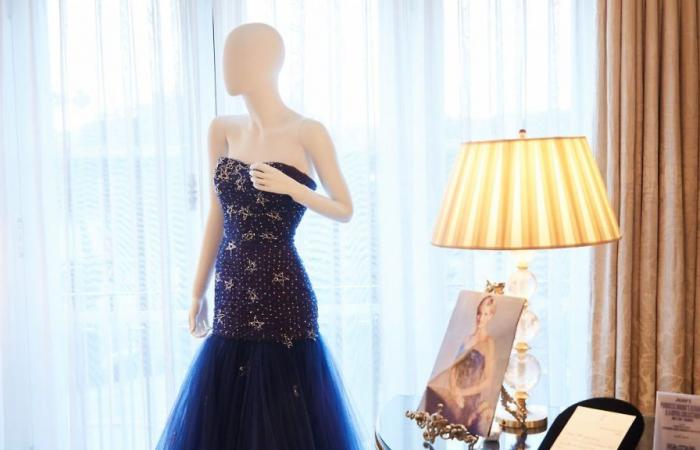 Die Luxusgarderobe von Prinzessin Diana wurde für Millionen versteigert