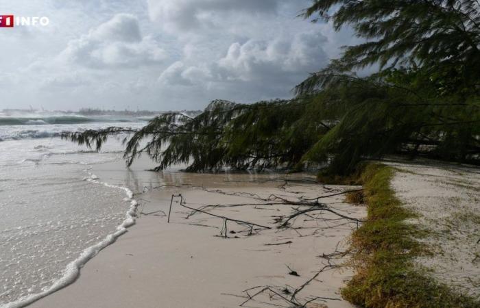 LIVE – Hurrikan Béryl: Der schlimmste Sturm seiner Kategorie fegt über die Antillen und nimmt an Intensität zu