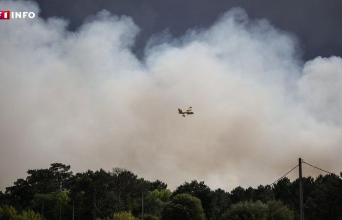 Brandgefahr: Das Departement Bouches-du-Rhône wurde in Alarmbereitschaft versetzt