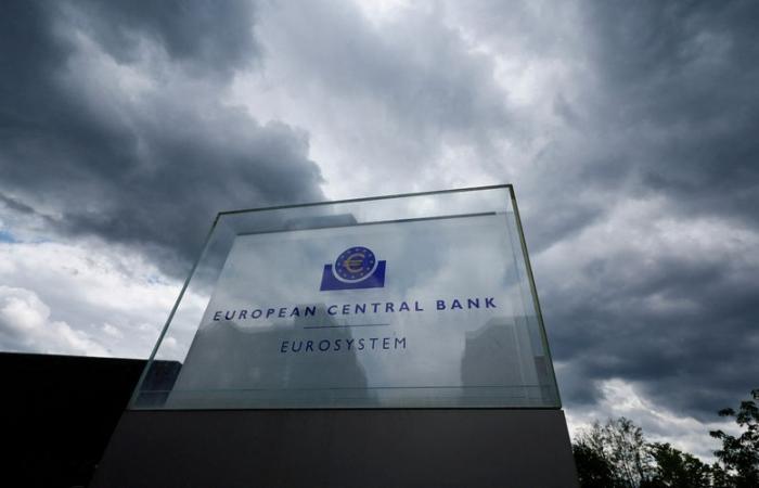 Makhlouf von der EZB plant in diesem Jahr weitere Zinssenkungen, von denen zwei „zu weit“ sind.