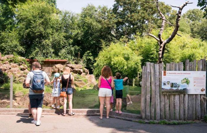 Sommersaison 2024 im Zoologischen und Botanischen Park | m2A das Mag