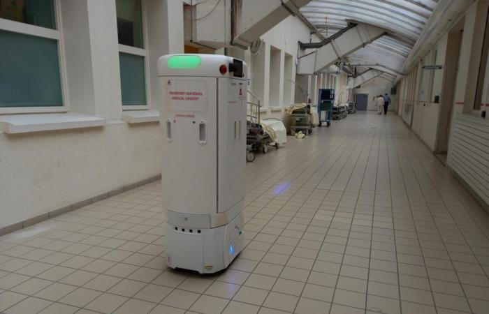 Universitätsklinikum Nantes: Diese Roboter unterstützen Pflegekräfte im Alltag