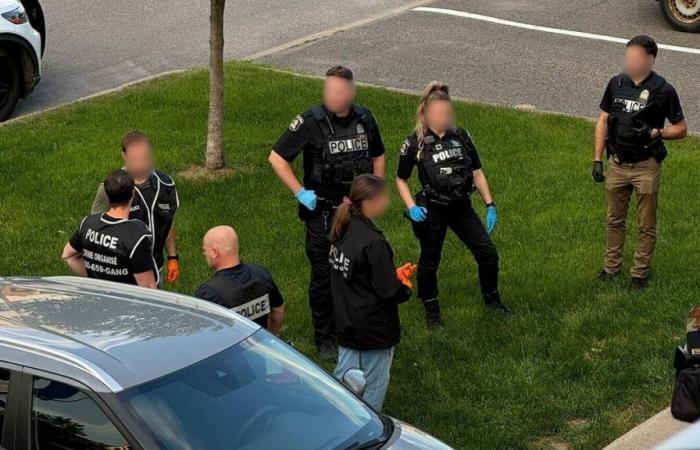 Zwei Personen nach einer großen Kokain-Beschlagnahme in Quebec festgenommen