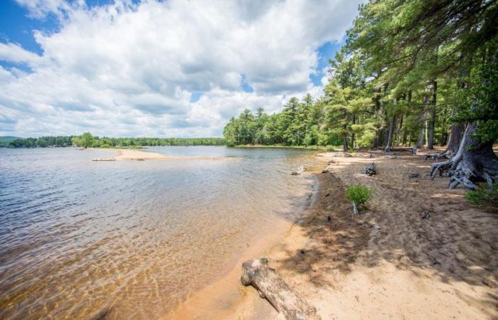 Weniger als 5 Autostunden von Montreal entfernt ist dieser wenig bekannte feine Sandstrand der perfekte Sommerurlaub