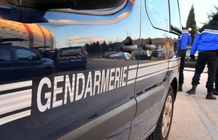 Er schlägt zwei Frauen und rebelliert: Der Mann aus Montpellier wird zum 18. Mal verurteilt