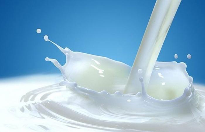 Soja, Hafer, Mandelmilch … Die WHO warnt vor pflanzlichen Getränken, die Milchprodukte ersetzen