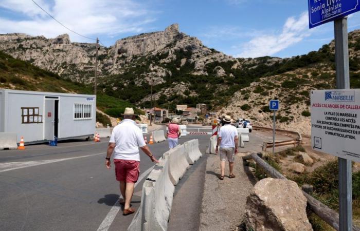In Marseille gewinnt die Calanque de Callelongue ihre Ruhe zurück