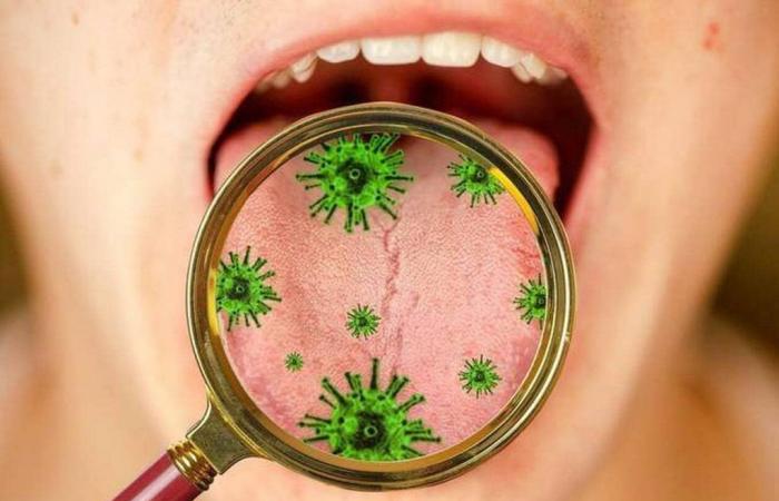 Die Bakterien, die in unserem Mund leben, haben überraschende Auswirkungen auf unsere Gesundheit – Abendausgabe von Ouest-France