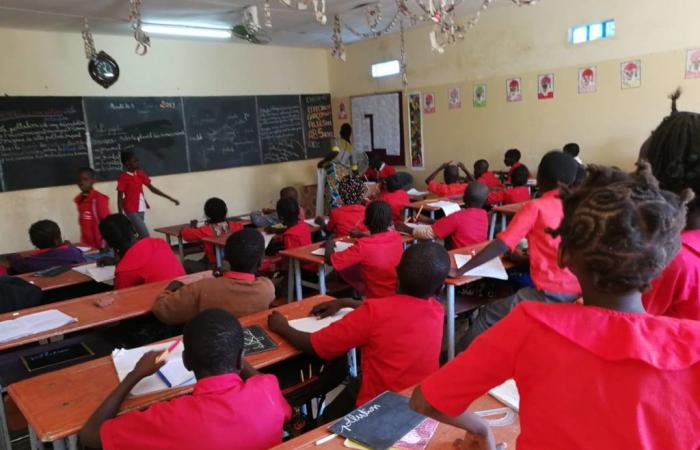 Senegal will die Lehrerausbildung vorwegnehmen