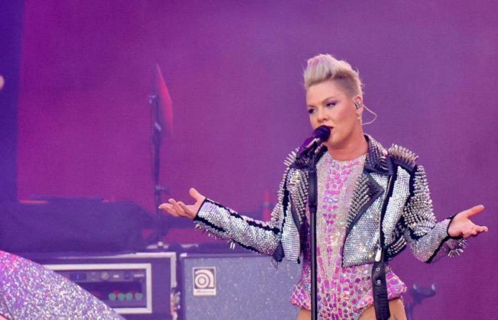 Pink-Konzert in Bern abgesagt: Sängerin sei krank