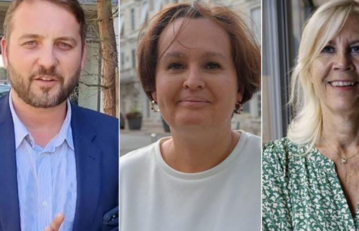 4. Wahlkreis von Drôme. Dreieckig: In sozialen Netzwerken rief die scheidende Abgeordnete Emmanuelle Anthoine (LR) zum Rückzug auf