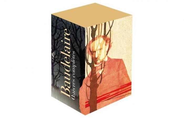 Buch: „Gesamtwerk I und II“, von Charles Baudelaire: Poetik der Gegensätze