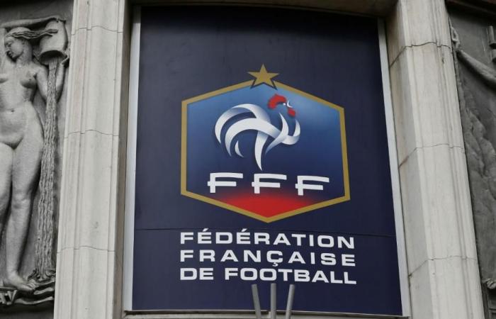 Ligue 1/Ligue 2: Ein neuer Wettbewerb für Reserveteams startet im Oktober!