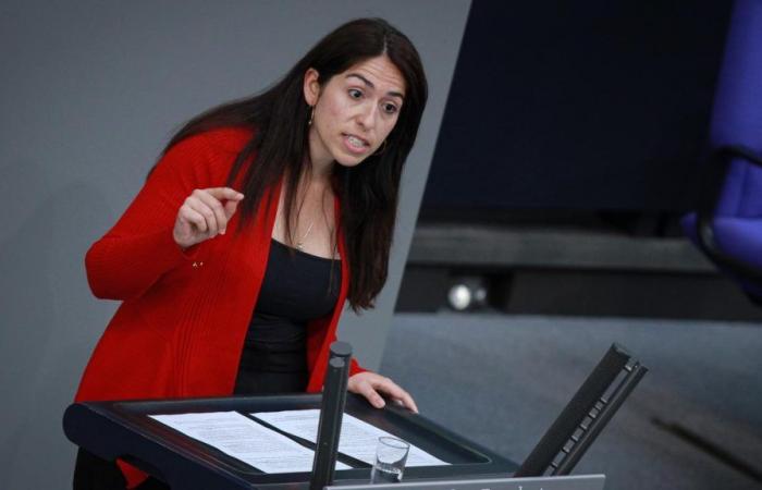 Bundestag: Grüne fordern von Abgeordneter Sekmen Verzicht auf Mandat