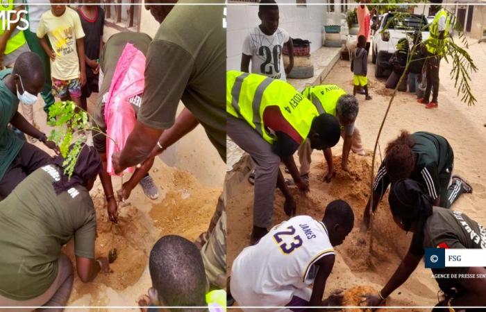 SENEGAL-ENVIRONNEMENT-COLLECTIVITIES / Golf Sud: Mehr als 100 Bäume auf Block 4 der Assainies-Parzellen gepflanzt – senegalesische Presseagentur