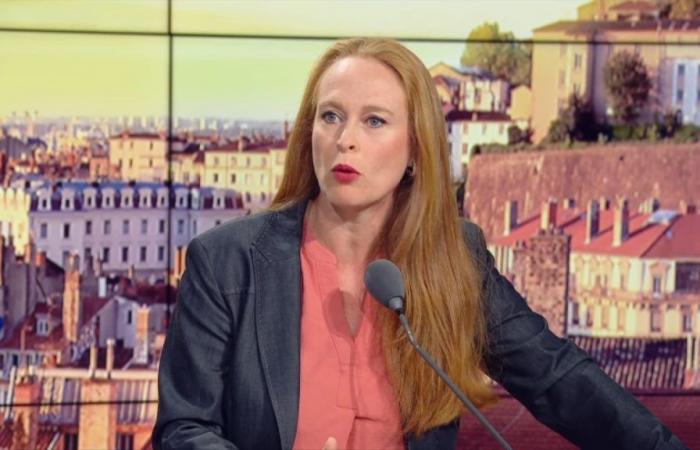 Violette Spillebout verurteilt den Aufruf eines Kandidaten, das LFI Ensemble zu wählen