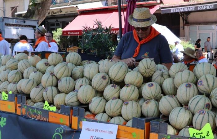 Die Melone feiert in Cavaillon