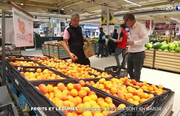 Obst und Gemüse: Warum die Preise fallen – 20 Uhr Zeitung