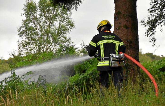 Bekämpfung von Waldbränden in Ille-et-Vilaine: Was sich 2024 ändert