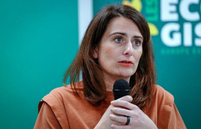 Parlamentswahlen 2024: „Marine Tondelier hat Recht, wenn sie sich durchsetzen will“, bekräftigt Alba Ventura