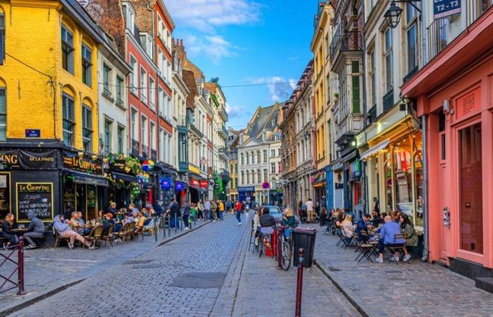Hier sind offiziell die 10 Bars, in denen Sie in Lille die besten Chancen haben, die Liebe zu finden