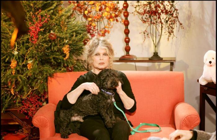 Brigitte Bardot spricht unfreundlich über ihre Enkelkinder – Closer