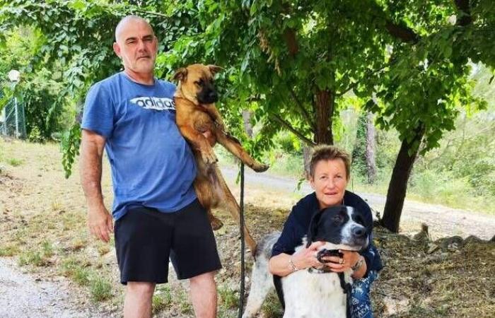 Inventar, Projekte… Nach fünf Jahren unter richterlicher Verwaltung erholt sich der Tierschutzverein in Nizza