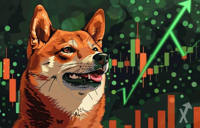 Kann der Dogecoin (DOGE)-Preis im Juli einen weiteren Anstieg auslösen?