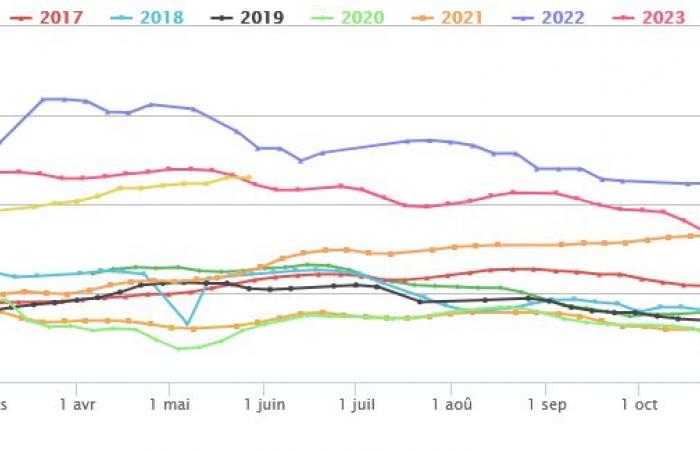 Milchkühe: Preise in der EU über Vorjahresniveau