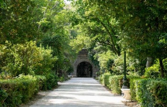 der Park Meynier de Salinelles, ein grünes Paradies in Nîmes