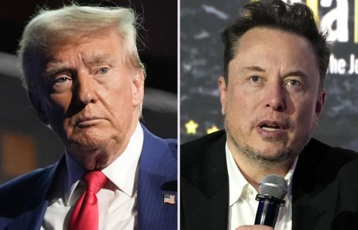 Im
      Falle
      seiner
      Wahl
      wird
      Donald
      Trump
      Elon
      Musk
      zum
      Leiter
      einer
      Sonderkommission
      ernennen
      –
      Mein
      Blog