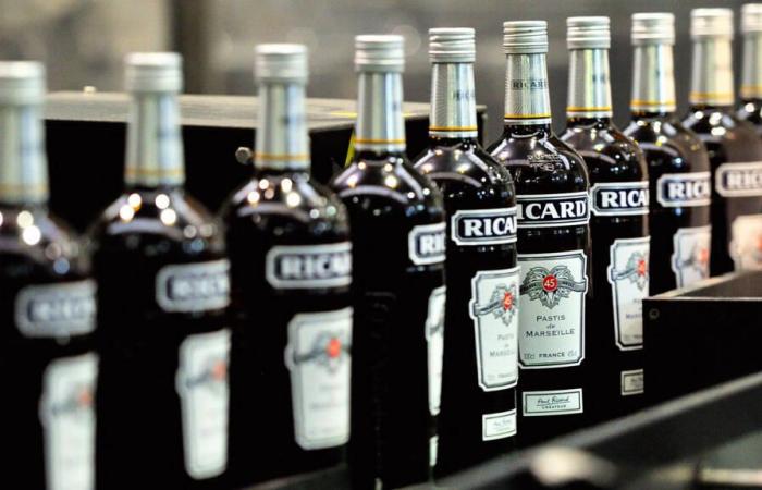 Nach
      Kontroversen
      „verzichtet“
      Pernod
      Ricard
      auf
      seine
      neue
      Partnerschaft
      mit
      PSG