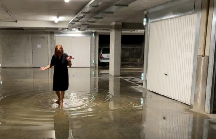 Bewohner
      eines
      Gebäudes
      in
      Mougins
      sind
      nach
      einer
      weiteren
      Überschwemmung
      wütend