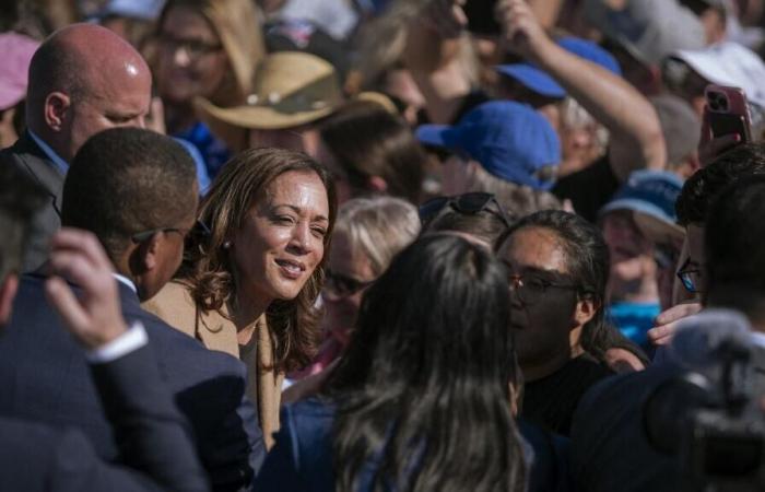 Im
      August
      sammelte
      Kamala
      Harris
      dreimal
      mehr
      Geld
      als
      Donald
      Trump