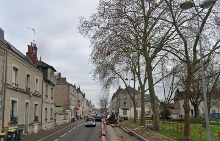 Info-Touren
      |
      Boulevard
      Jean
      Royer:
      Kommen
      Sie
      diesen
      Sonntag
      vorbei
      und
      lassen
      Sie
      Ihr
      Auto
      fotografieren