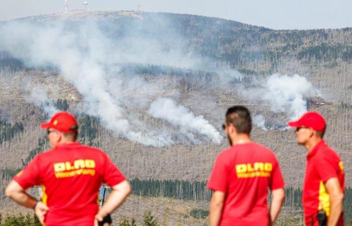 Feuerwehrleute
      kämpfen
      gegen
      große
      Waldbrände