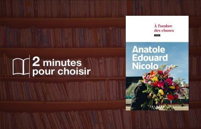 Wir
      lesen
      „Im
      Schatten
      der
      Dinge“,
      den
      ersten
      Roman
      von
      Anatole
      Edouard
      Nicolo
      –
      Mein
      Blog