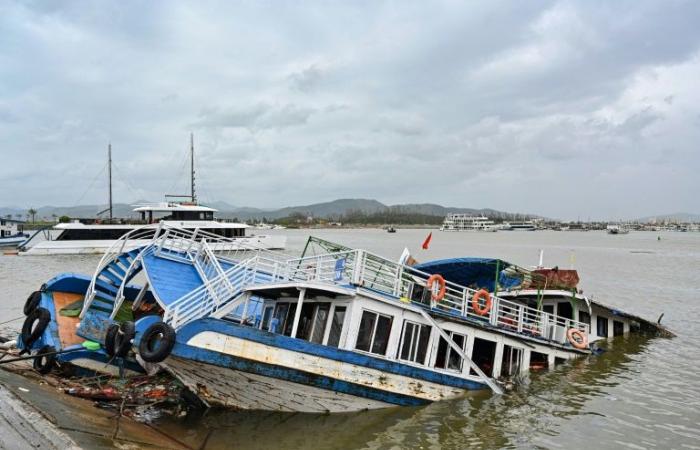 Zahl
      der
      Todesopfer
      durch
      Taifun
      Yagi
      steigt
      in
      Vietnam
      nach
      Erdrutsch
      auf
      9
      –
      Mein
      Blog